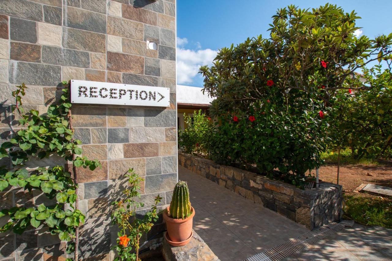 Villa Medusa Hersonissos  Exterior photo