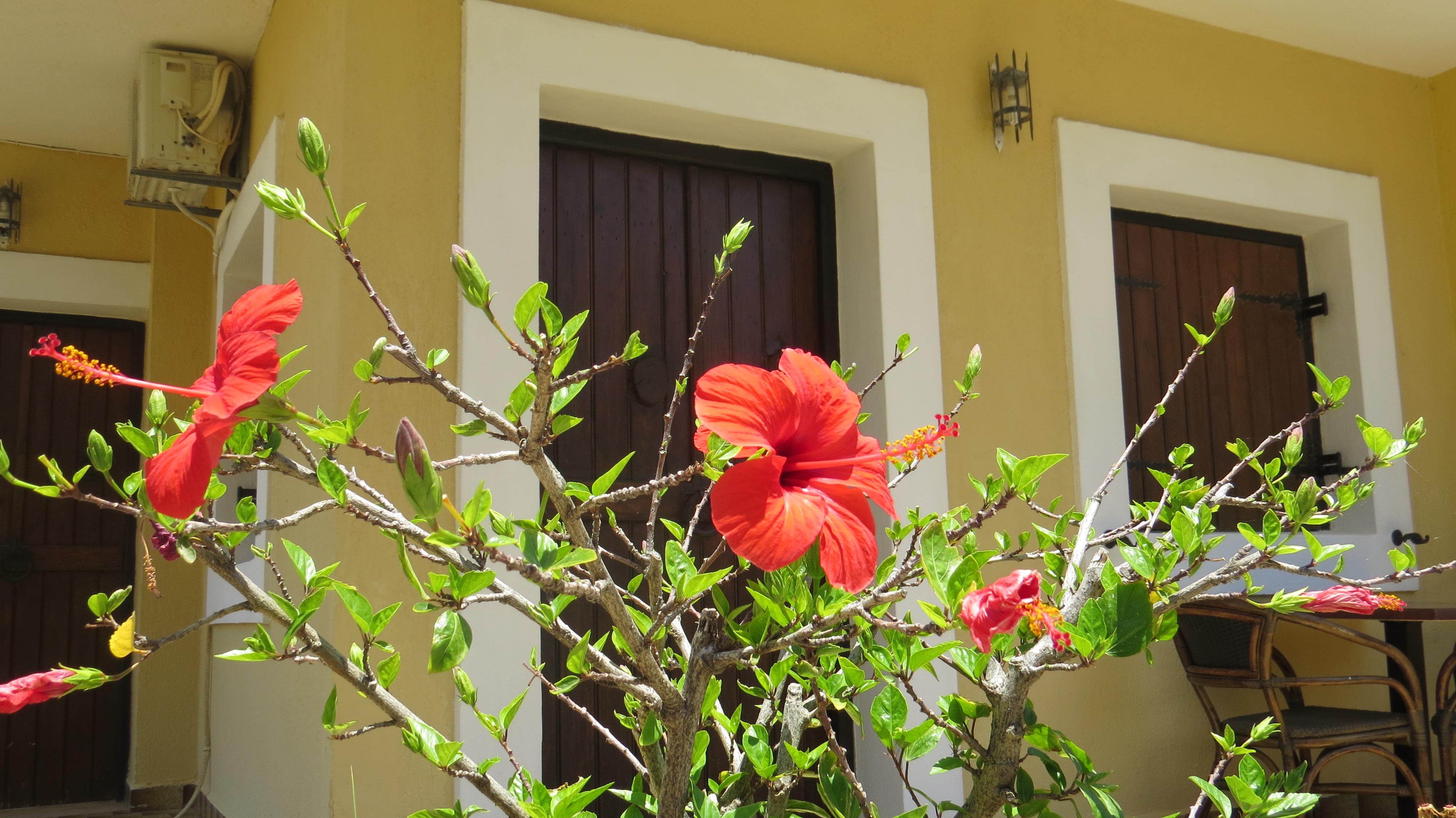 Villa Medusa Hersonissos  Exterior photo