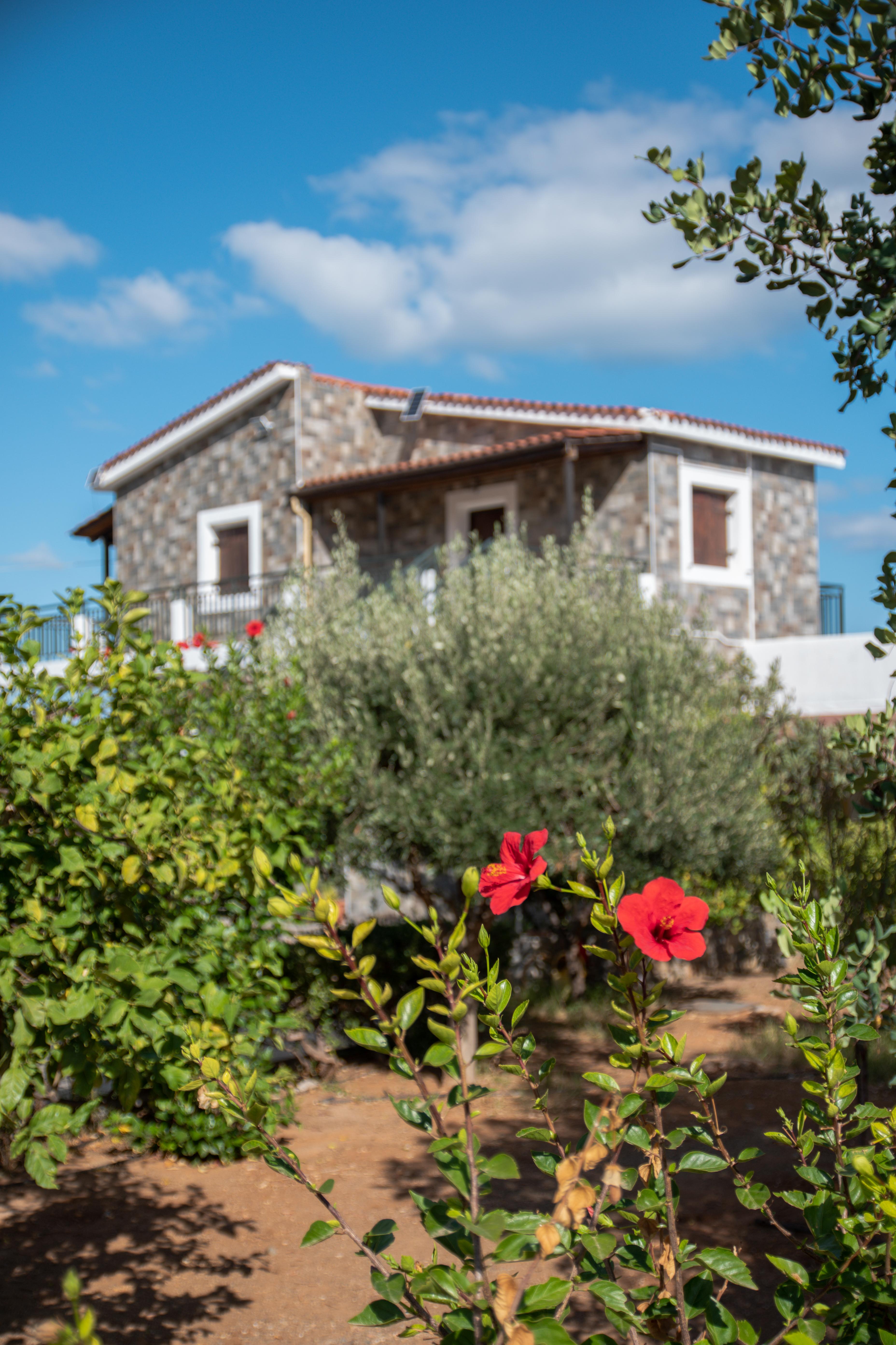 Villa Medusa Hersonissos  Exterior photo